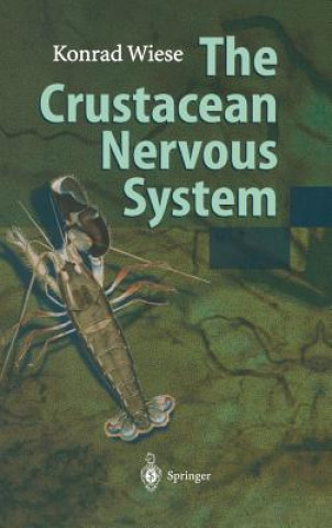 Carte Crustacean Nervous System Konrad Wiese
