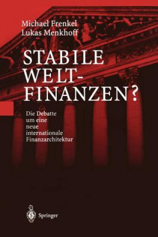 Książka Stabile Weltfinanzen? Michael Frenkel