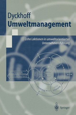 Könyv Umweltmanagement Harald Dyckhoff