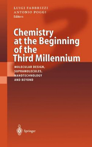Könyv Chemistry at the Beginning of the Third Millennium Luigi Fabbrizzi