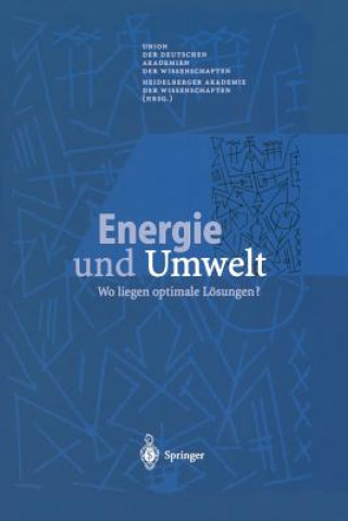 Kniha Energie und Umwelt Heidelberger Akademie Der Wissenschaften