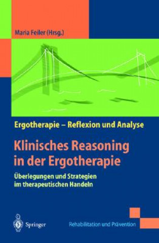 Kniha Klinisches Reasoning in Der Ergotherapie Maria Feiler