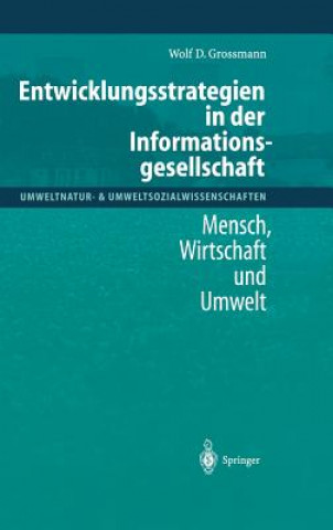 Книга Entwicklungsstrategien in Der Informationsgesellschaft Wolf D. Grossmann