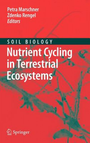 Könyv Nutrient Cycling in Terrestrial Ecosystems Petra Marschner
