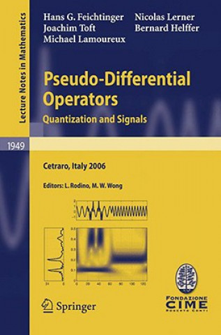 Könyv Pseudo-Differential Operators Luigi Rodino