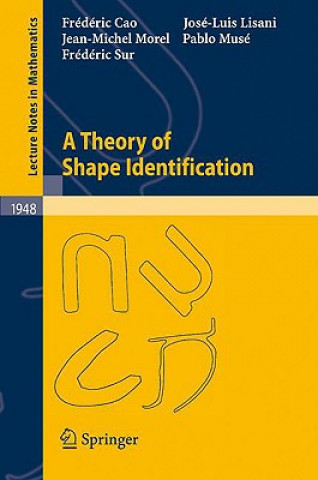 Kniha Theory of Shape Identification Frédéric Cao
