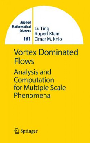 Könyv Vortex Dominated Flows ing Lu