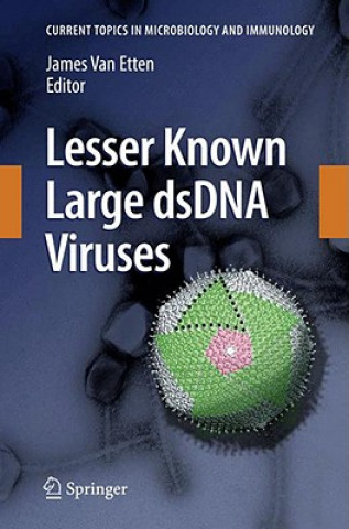 Książka Lesser Known Large dsDNA Viruses James L. Van Etten