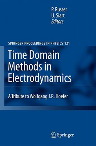 Livro Time Domain Methods in Electrodynamics Peter Russer