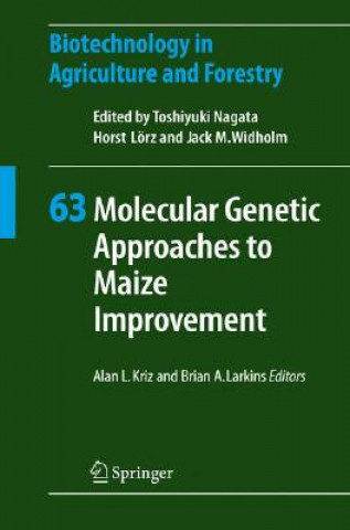 Kniha Molecular Genetic Approaches to Maize Improvement Alan L. Kriz