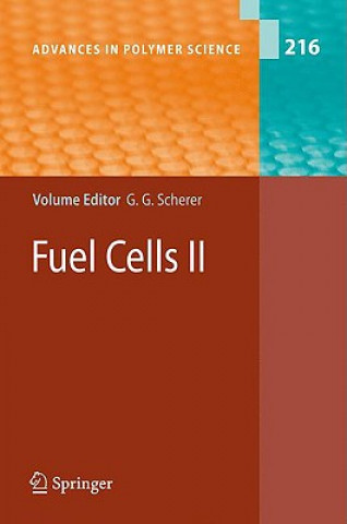 Книга Fuel Cells II Günther G. Scherer