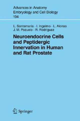 Könyv Neuroendocrine Cells and Peptidergic Innervation in Human and Rat Prostrate Luis Santamaria