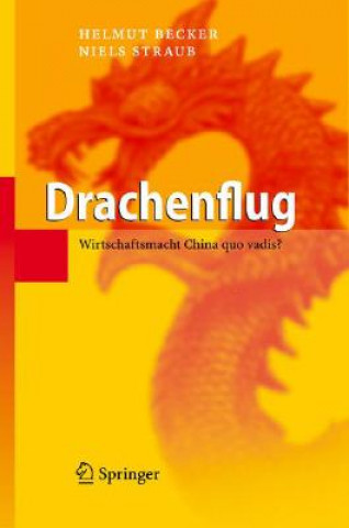 Boek Drachenflug Helmut Becker