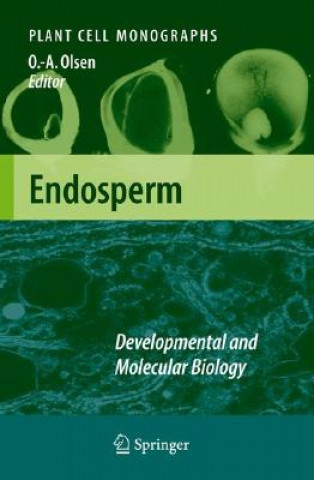 Könyv Endosperm Odd-Arne Olsen