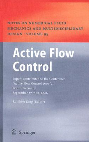 Kniha Active Flow Control Rudibert King