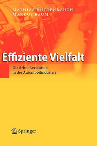 Carte Effiziente Vielfalt Mathias Hüttenrauch