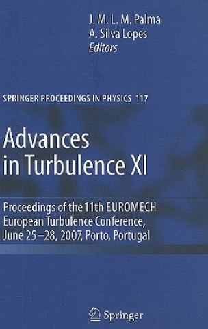 Carte Advances in Turbulence XI J. M. L. M. Palma