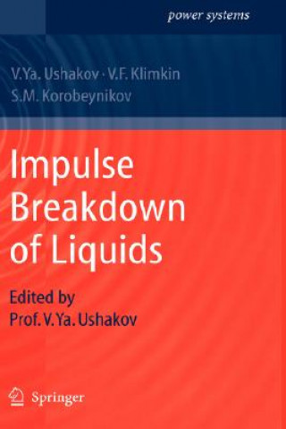 Carte Impulse Breakdown of Liquids Vasily Y. Ushakov