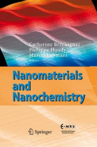 Kniha Nanomaterials and Nanochemistry C. Bréchignac