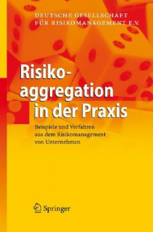 Kniha Risikoaggregation in Der Praxis 