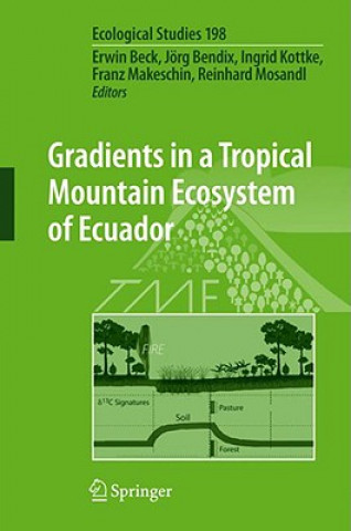 Könyv Gradients in a Tropical Mountain Ecosystem of Ecuador Erwin Beck