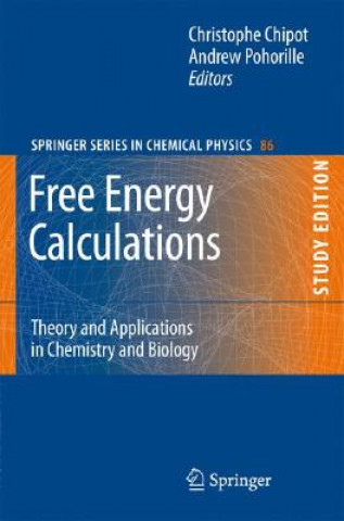 Könyv Free Energy Calculations Christophe Chipot