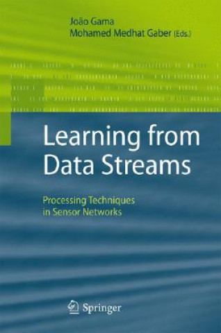 Buch Learning from Data Streams Jo