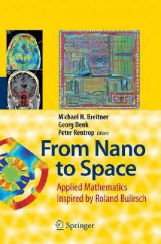 Kniha From Nano to Space Michael H. Breitner