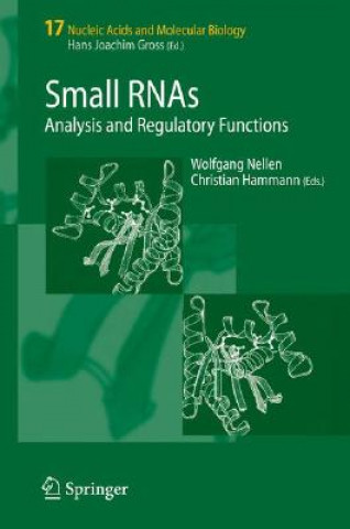 Kniha Small RNAs: Wolfgang Nellen