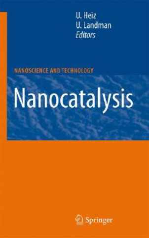 Kniha Nanocatalysis Ulrich Heiz