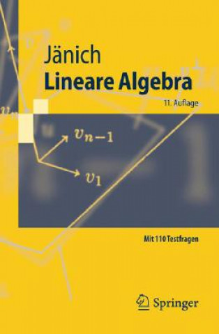 Kniha Lineare Algebra Klaus Jänich