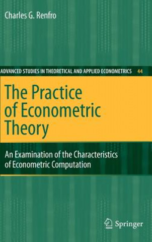 Könyv Practice of Econometric Theory Charles G. Renfro