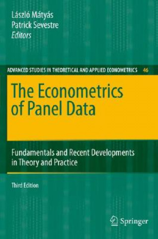 Kniha Econometrics of Panel Data L. Mátyás