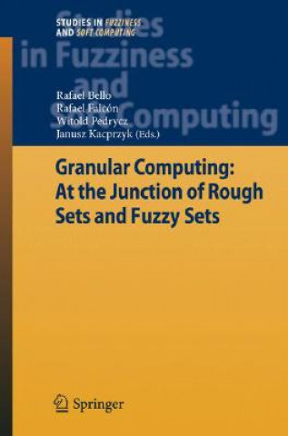 Könyv Granular Computing: At the Junction of Rough Sets and Fuzzy Sets Rafael Bello