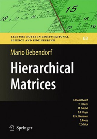Carte Hierarchical Matrices Mario Bebendorf