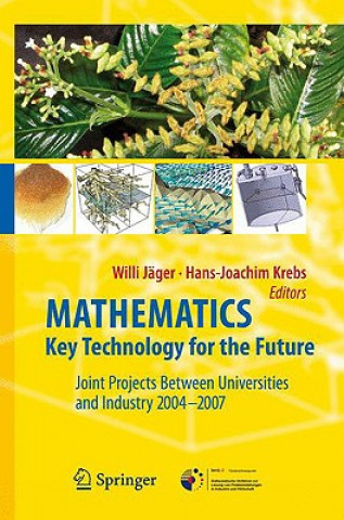 Kniha Mathematics - Key Technology for the Future Willi Jäger