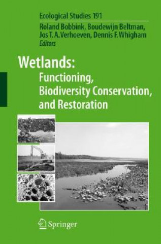 Carte Wetlands: Functioning, Biodiversity Conservation, and Restoration Roland Bobbink