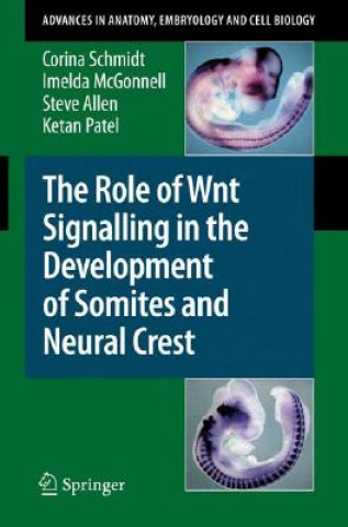 Kniha Role of Wnt Signalling in the Development of Somites and Neural Crest Corina Schmidt