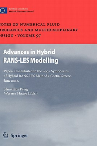 Książka Advances in Hybrid RANS-LES Modelling Shia-Hui Peng