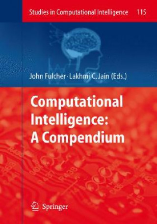 Książka Computational Intelligence: A Compendium, 2 Teile John Fulcher