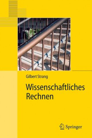 Buch Wissenschaftliches Rechnen Gilbert Strang