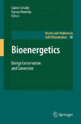 Książka Bioenergetics Günter Schäfer