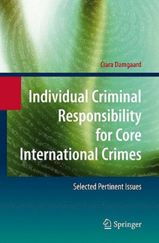 Könyv Individual Criminal Responsibility for Core International Crimes Ciara Damgaard
