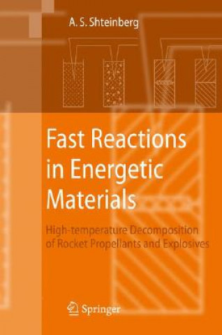 Kniha Fast Reactions in Energetic Materials A. S. Shteinberg