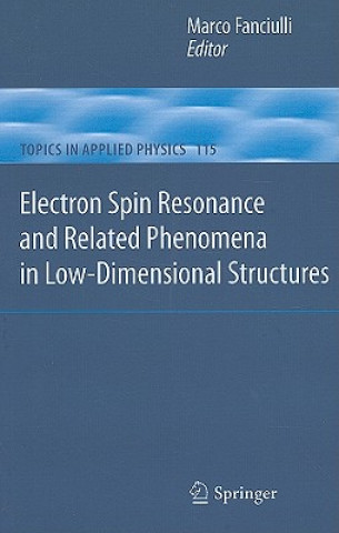 Könyv Electron Spin Resonance and Related Phenomena in Low-Dimensional Structures Marco Fanciulli