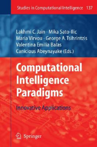 Book Computational Intelligence Paradigms Mika Sato-Ilic