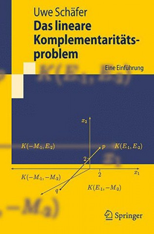Kniha Das Lineare Komplementaritatsproblem Uwe Schäfer