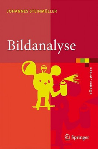 Kniha Bildanalyse Johannes Steinmüller