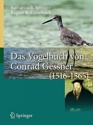 Kniha Das Vogelbuch Von Conrad Gessner (1516-1565) Katharina B. Springer