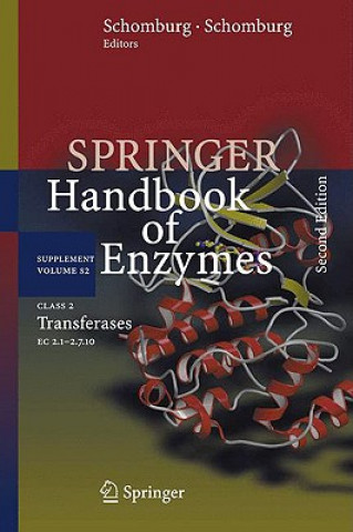 Buch Class 2 Transferases Dietmar Schomburg